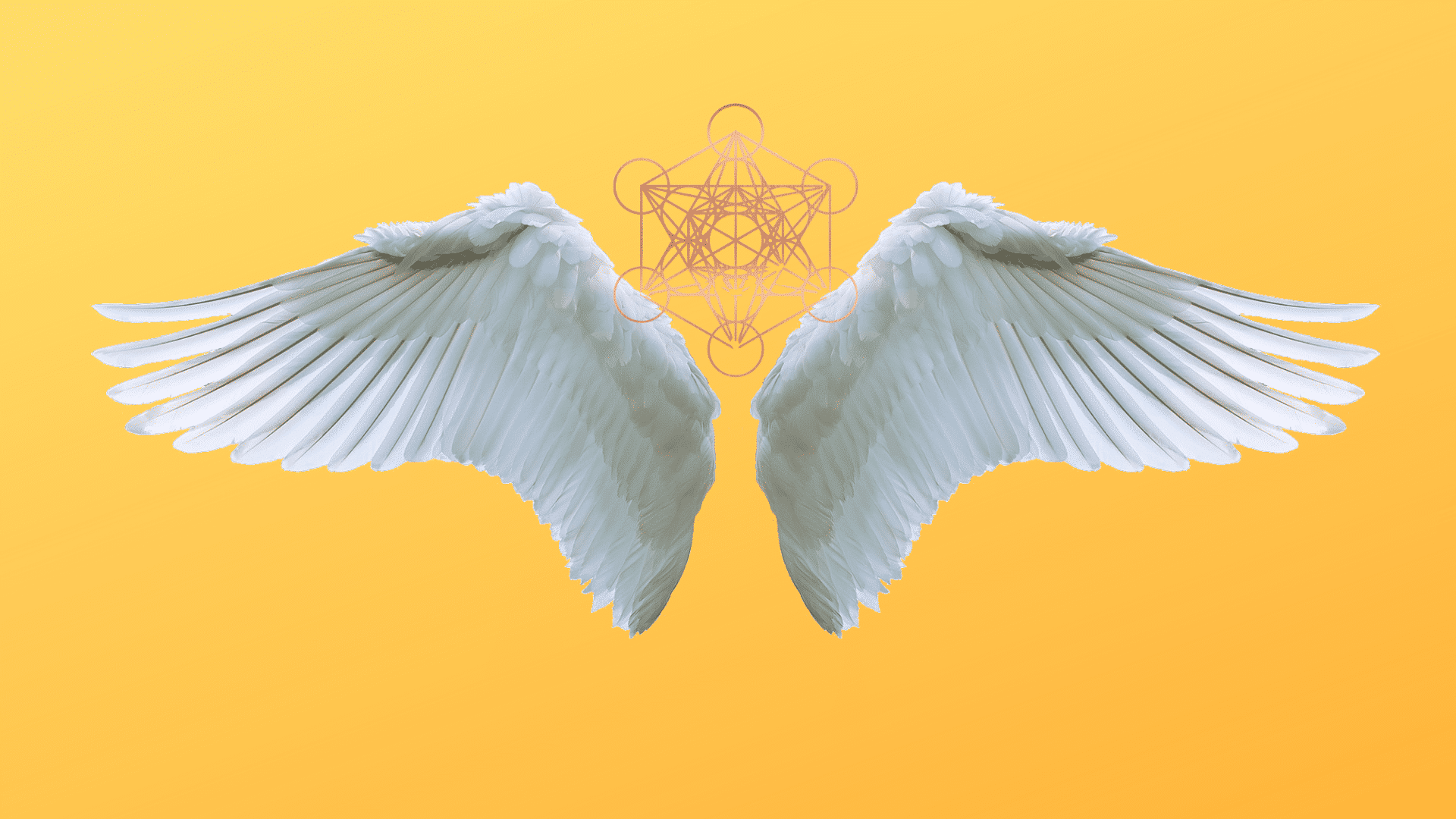 Testimonial avatar image
